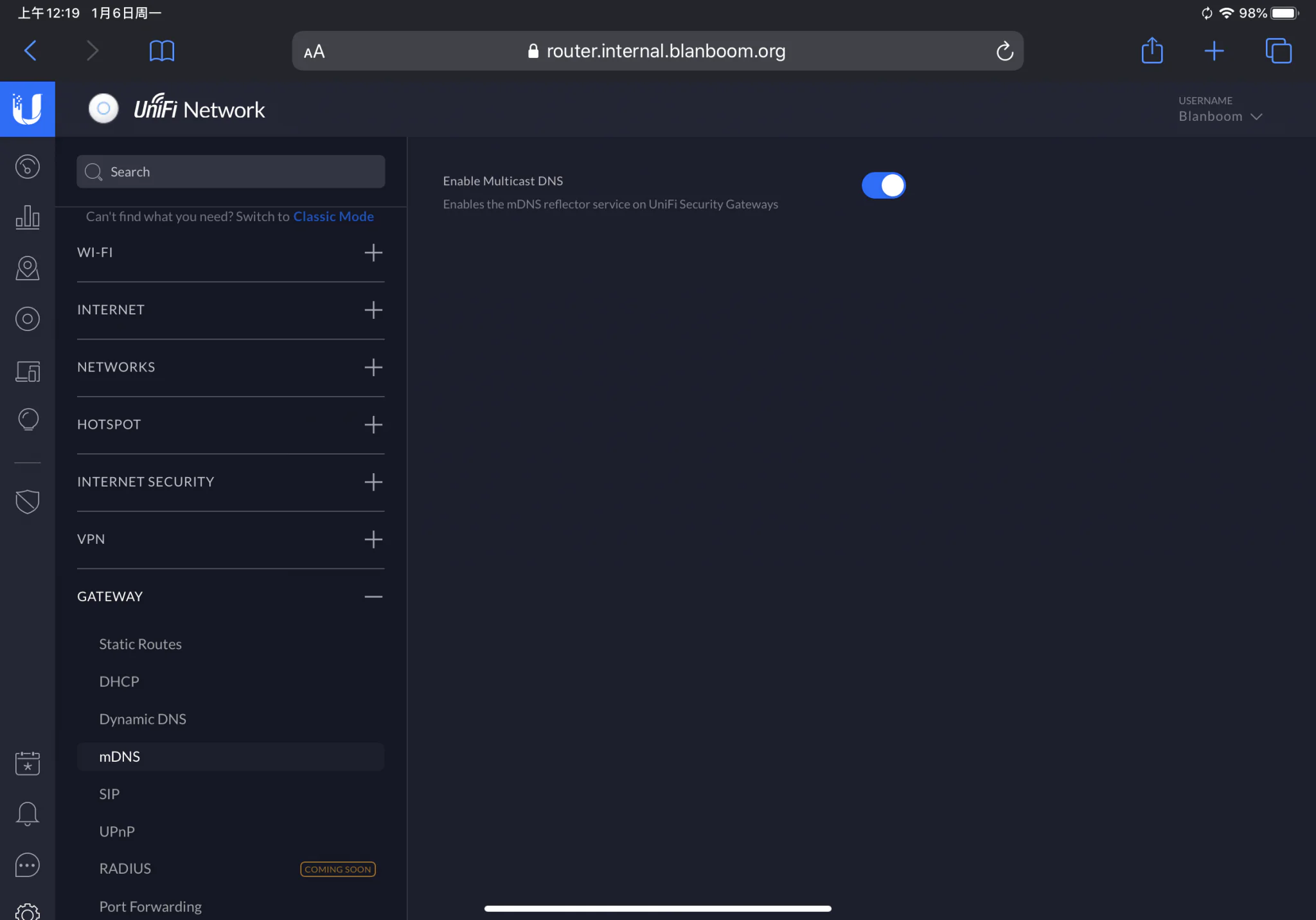 Udm settings mdns Blanboom Udm settings mdns Blanboom