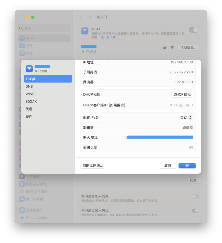 macOS 上仅获取到了 fd 开头的 IPv6 地址，且路由器地址为空